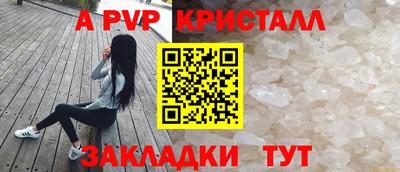 шишки Кандалакша