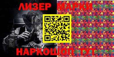 шишки Кандалакша