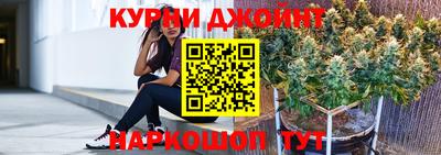шишки Кандалакша